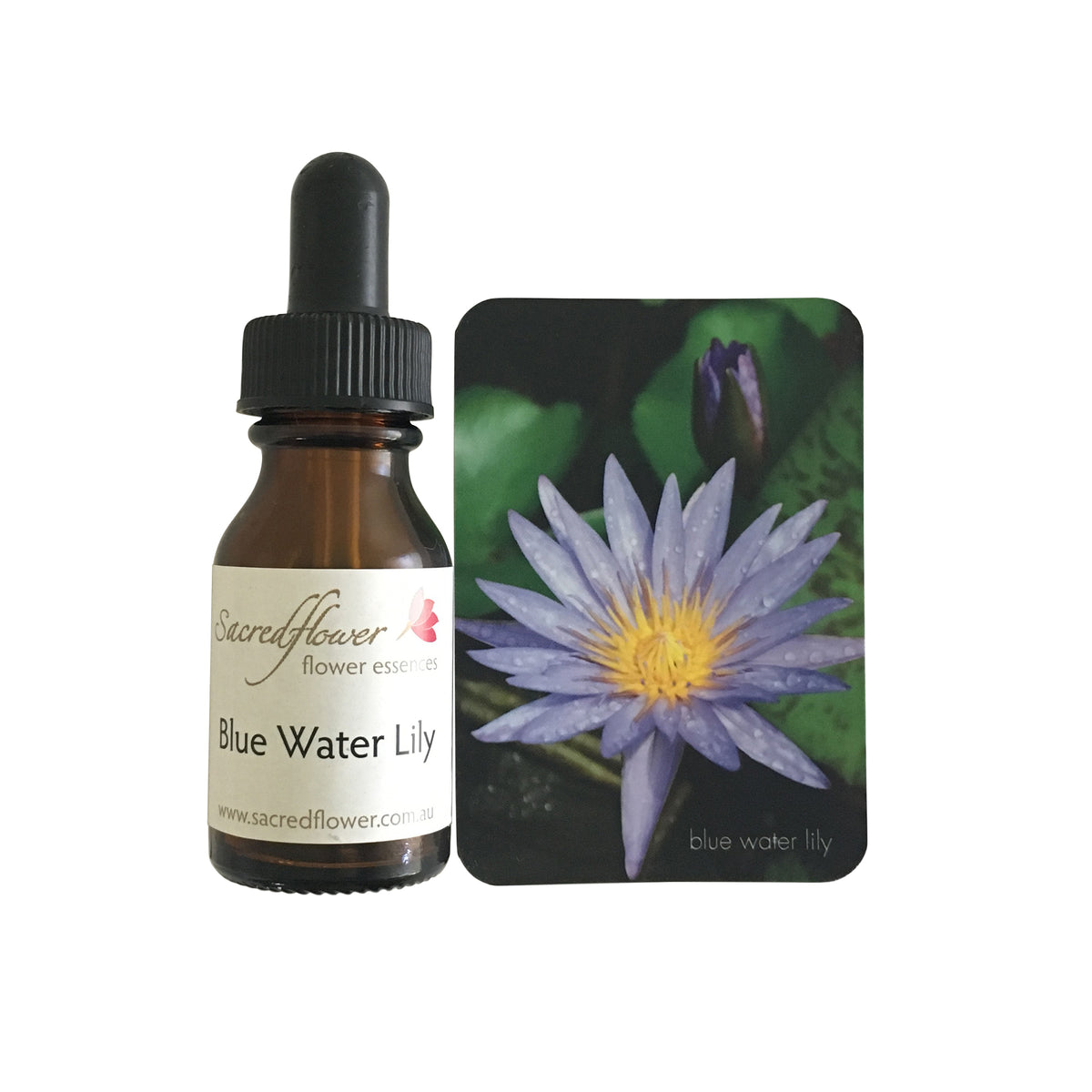 Blue water lily flower essence Sacred Flower