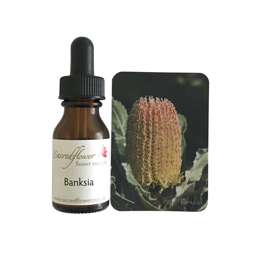 Banksia flower essence - Sacred flower 