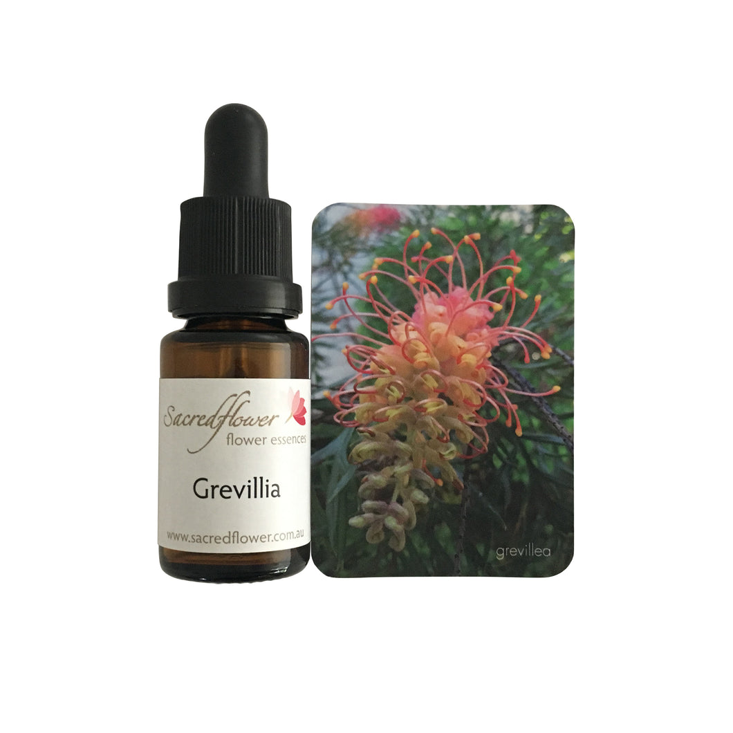 grevillea flower essence remedy