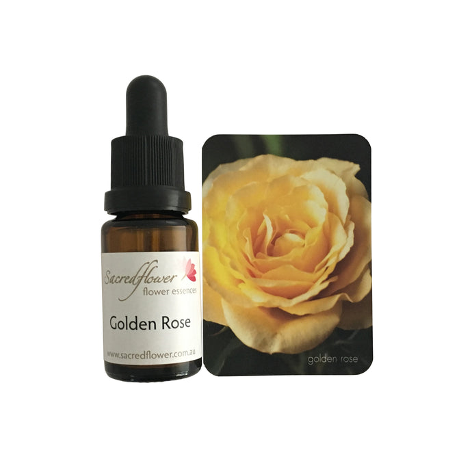 golden rose flower essence remedy 