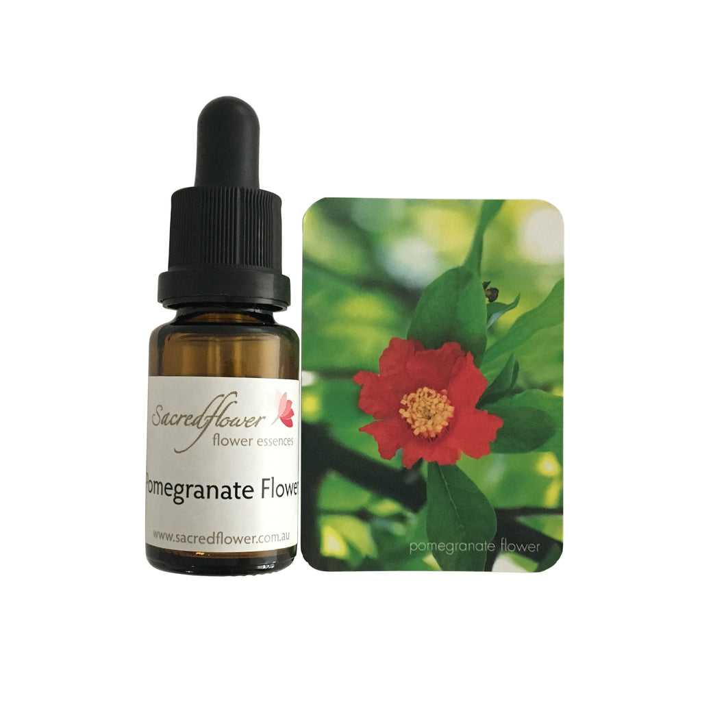 Sacred flower essences - pomegranate flower essence 