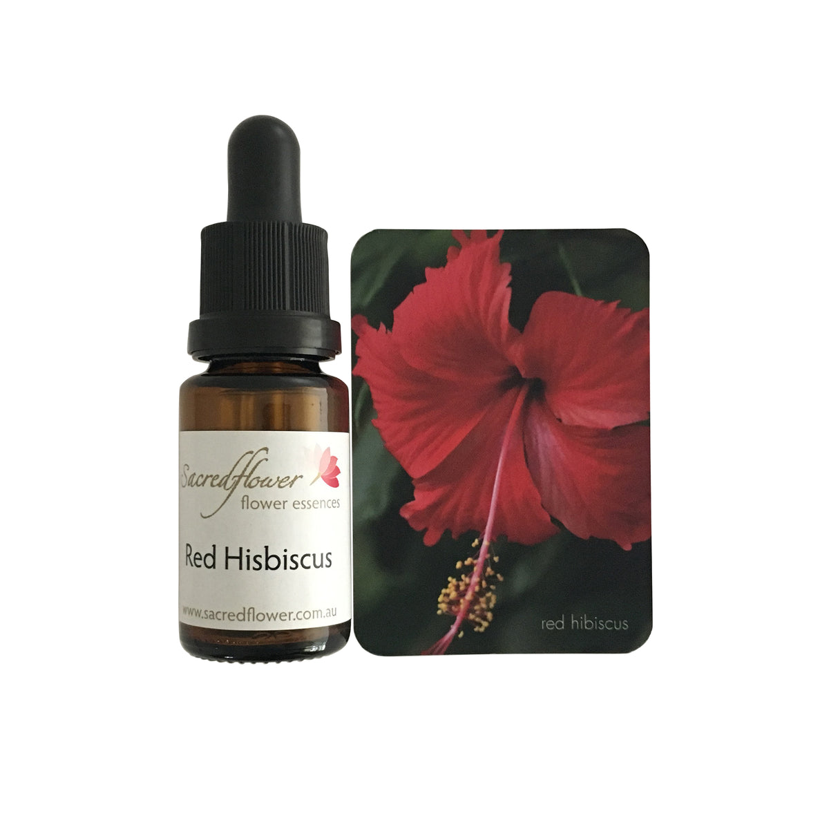 Red hibiscus flower essence Sacred Flower