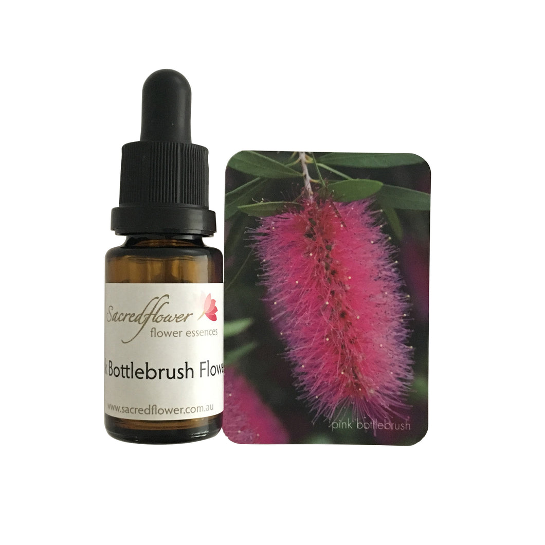 Australian flower essences. bottlebrush flower essence remedy. sacred flower essences