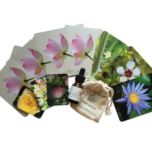 flower essences. flower remedy