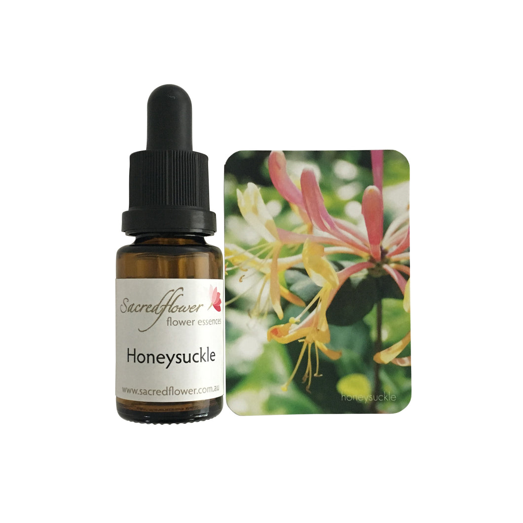 Australian flower essences. honey suckle flower essence remedy. sacred flower essences