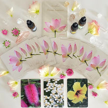flower cards , flower essence cards 