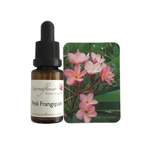 Australian flower essences. pink frangipani flower essence remedy. sacred flower essences