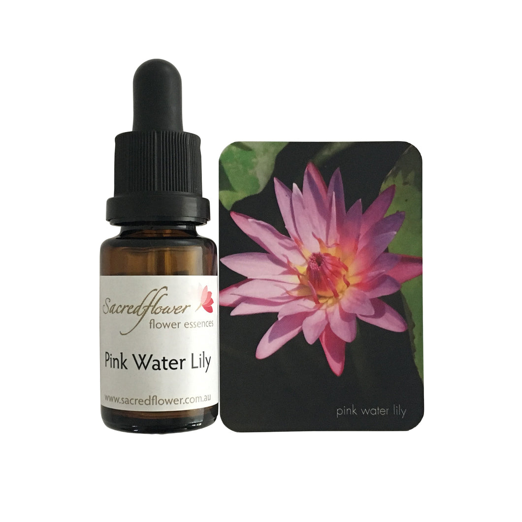Australian flower essences. pink water lily flower essence remedy. sacred flower essences