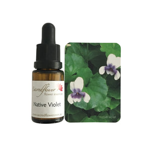 Australian flower essences. native violet flower essence remedy. sacred flower essences